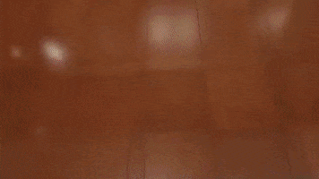 kansas city GIF