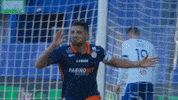 Football Soccer GIF by Ligue 1