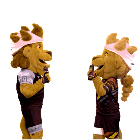 Drink Celebrate Sticker by Flanders 2021