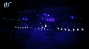 ultra music festival GIF by Hardwell
