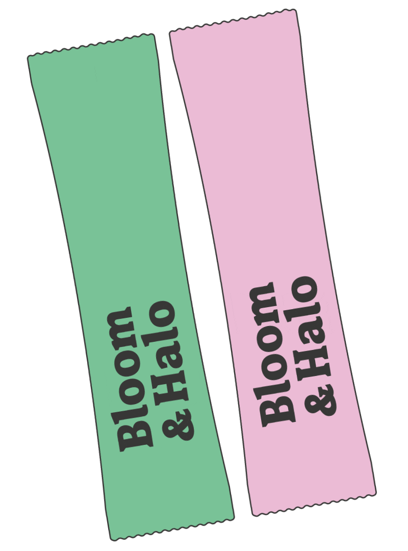 bloomandhalo giphyupload Sticker