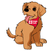 KnightFrankIreland dog puppy golden retriever labrador Sticker