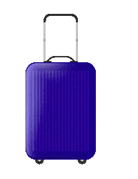 travel viajar Sticker