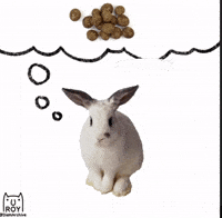 Thinking Rabbit GIF