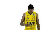 Ewe Baskets Basketball Sticker by EWE Baskets Oldenburg