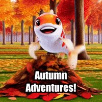Fall Autumn GIF by TheConfishius
