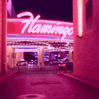 Las Vegas Pink GIF