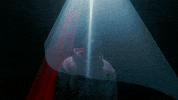 Rainbow Six Siege Sweden GIF by Spacestation Gaming