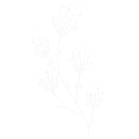 Flower Boho Sticker