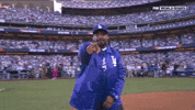Los Angeles Dodgers Sport GIF by MLB