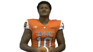 Football Celebration Sticker by Carson-Newman Athletics