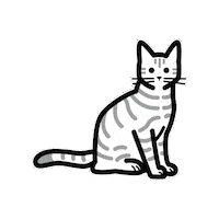 moffme cat pet 猫 ペット Sticker