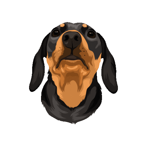 Picklepp Sticker by Pickle's Pawtraits