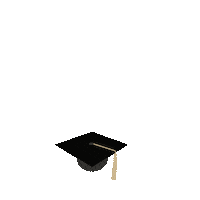 Black And Gold Graduate Sticker by Purdue University