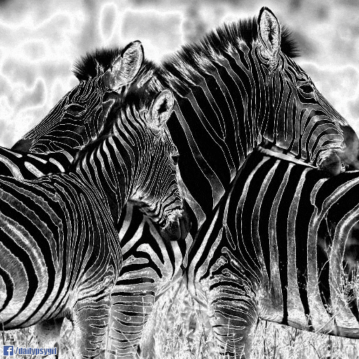 stripes zebra GIF by Psyklon