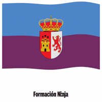Bandera Andalucia GIF by Formación Ninja