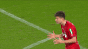 1 Fc Cologne Football GIF by 1. FC Köln