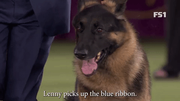 Lenny Picks Up The Blue Ribbon