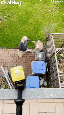 Dropping Ball Pit Balls on Unsuspecting Mother