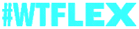 Hashtag Wtflex Sticker by FNV Young & United