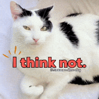 I Dont Think So No Way GIF