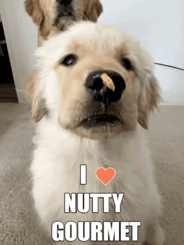 nutty-gourmet giphygifmaker giphyattribution food puppy GIF