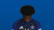 Look Up Hamburger Sv GIF by Bundesliga