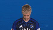 Look Up Hamburger Sv GIF by Bundesliga