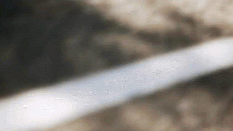 #run #runcannonballrun GIF by Tracksmith