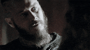 season 3 vikings GIF by HISTORY