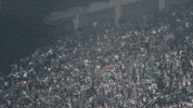 Football Sport GIF by Sporting CP