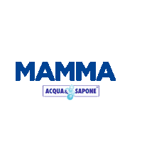 acquaesapone festadellamamma acqua e sapone acqua sapone acquaesapone Sticker