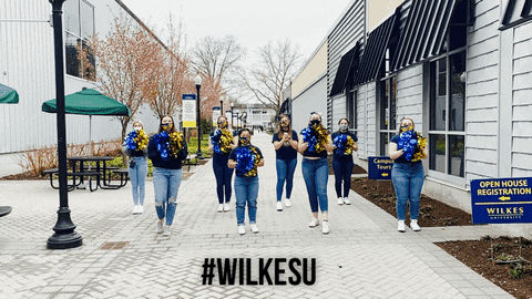Blueandgold GIF by Wilkes University