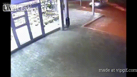 flower drive GIF