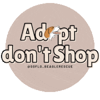 Foster Adopt Sticker by South Florida Beagle Rescue