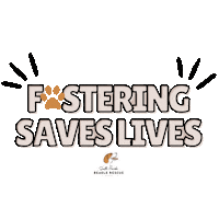 Foster Sticker by South Florida Beagle Rescue