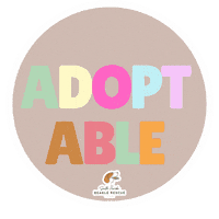 Dogrescue Adopt Sticker by South Florida Beagle Rescue