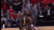 lebron james celebration GIF by NBA