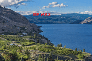 GIF by Local Marketing Plus