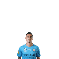 Maclaren Sticker by Melbourne City