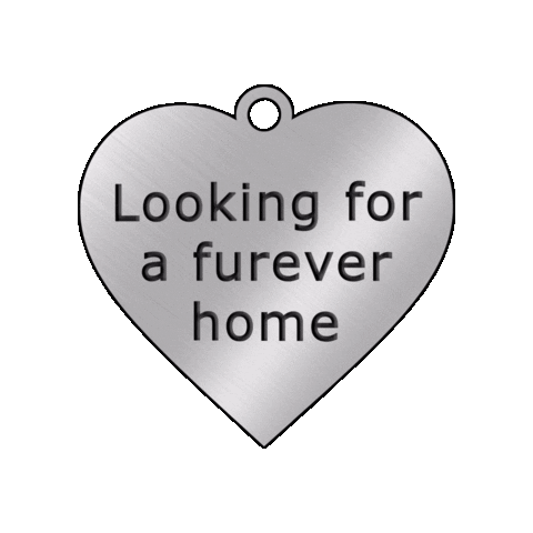 SBcountyDPH pet adoption animal care animal adoption furever home Sticker