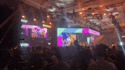 Video Games Twitch GIF