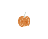 Fashion Fall Sticker by jane.com