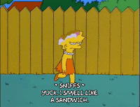 lisa simpson episode 21 GIF