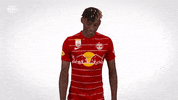 Dance Dancing GIF by FC Red Bull Salzburg