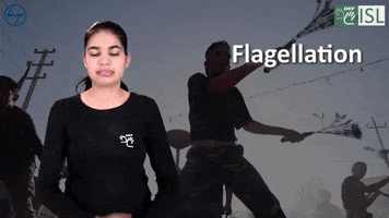 Sign Language Flagellation GIF by ISL Connect