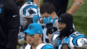 carolina panthers football GIF by NFL