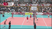 Power Smash GIF by Volleyball World