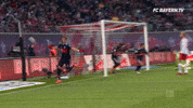 sandro wagner love GIF by FC Bayern Munich