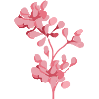 Flower Sticker by elan_cafe